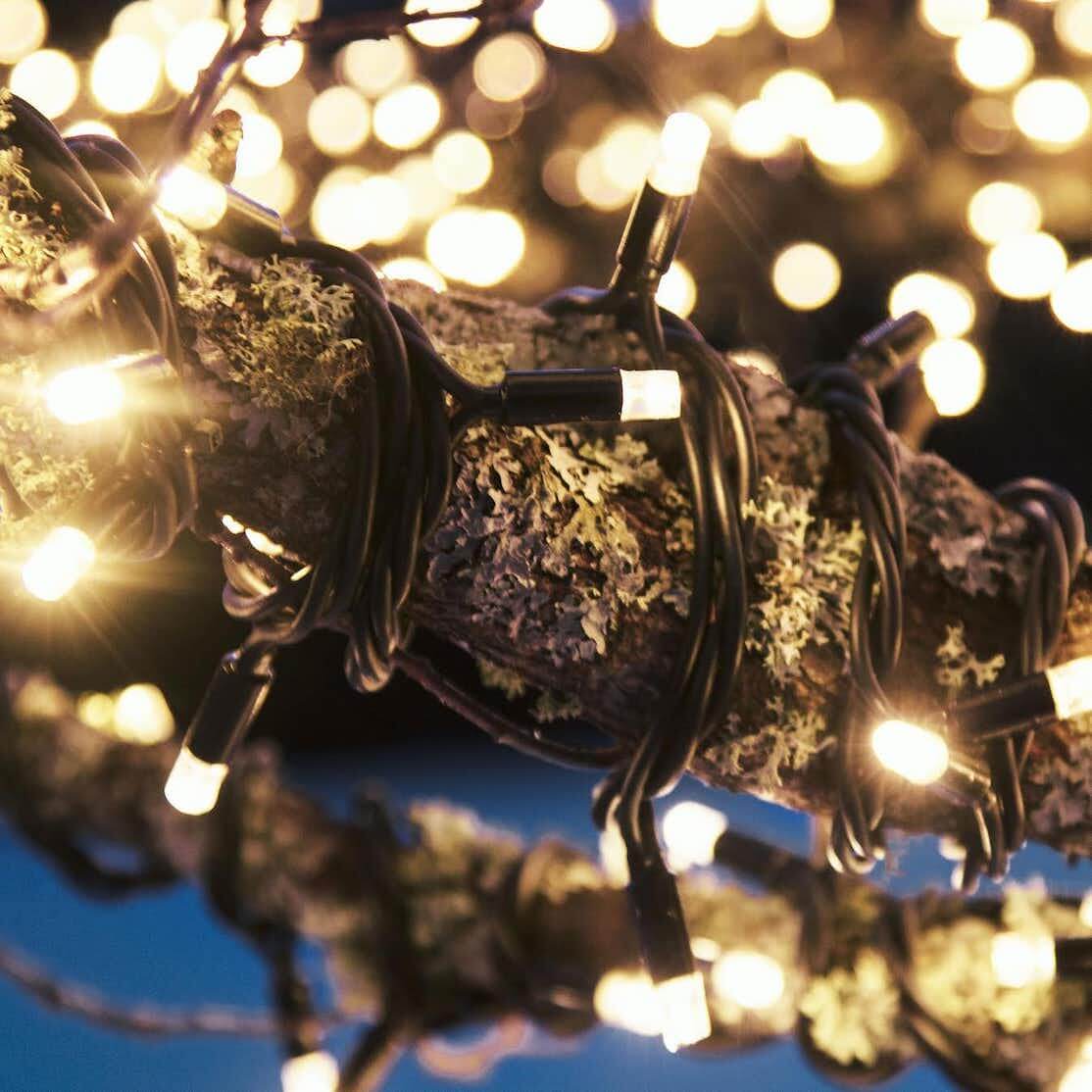 Nerve Forgænger Hold sammen med Julelys ute – lys opp utendørs med julebelysning | Bygghjemme.no